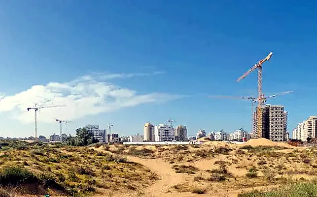 צילום פנורמי של חולות וצמחייה. ברקע עגורנים ובנייני מגורים